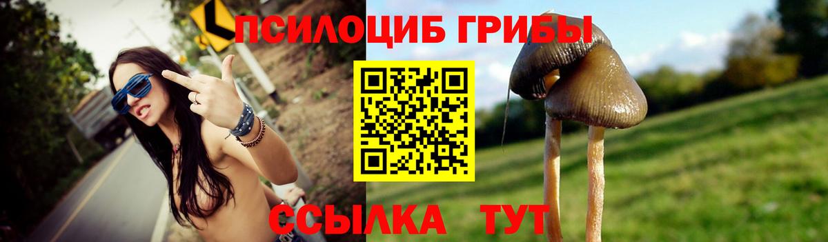 хочу   Галлюциногенные грибы Cubensis  Галлюциногенные грибы Psilocybine cubensis  Вход с VPN  Ачинск 